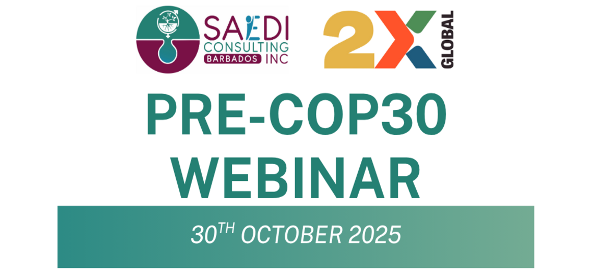 SAEDI Consulting Barbados Inc: 